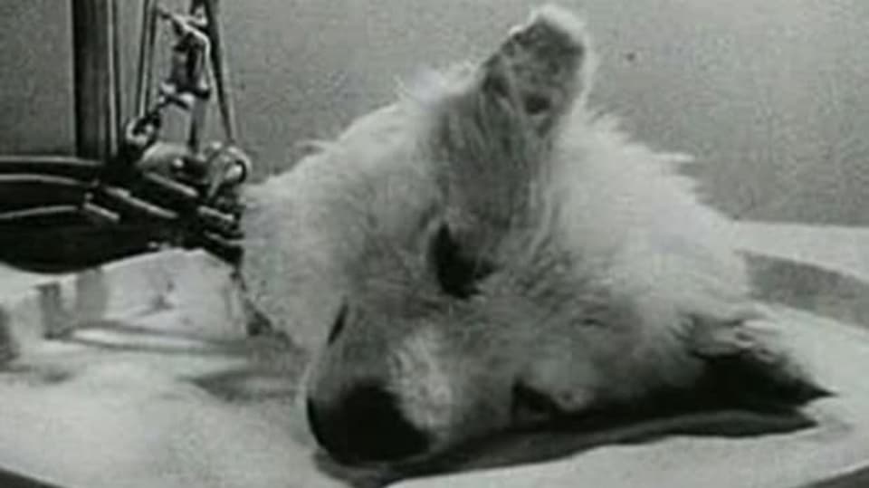 Experiment 1940